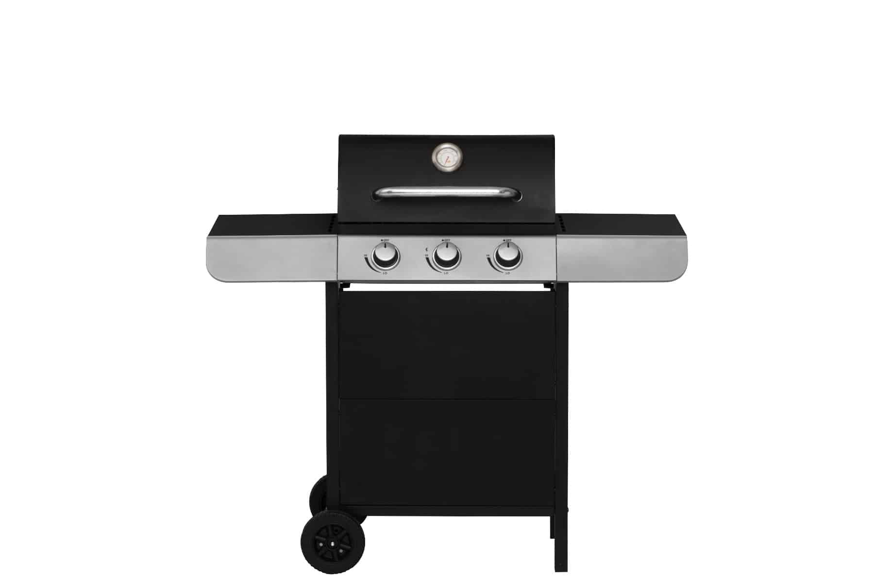 Mustang Gassgrill Maryville 3 test