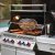 Napoleon Gassgrill Pro500-3