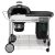 Weber Performer Deluxe GBS 57 cm Kullgrill